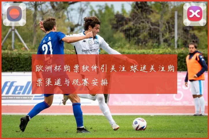 欧洲杯购票软件引关注 球迷关注购票渠道与观赛安排