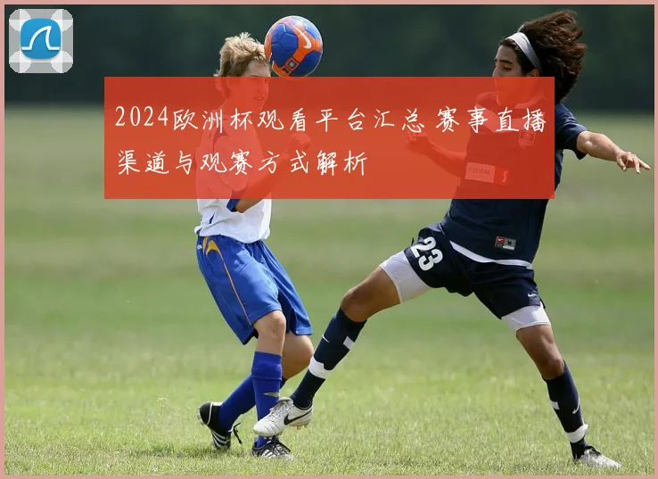 2024欧洲杯观看平台汇总 赛事直播渠道与观赛方式解析