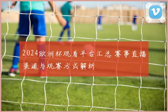2024欧洲杯观看平台汇总 赛事直播渠道与观赛方式解析