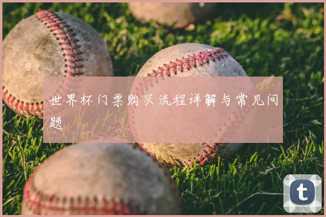 世界杯门票购买流程详解与常见问题